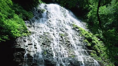 高效环保高性能